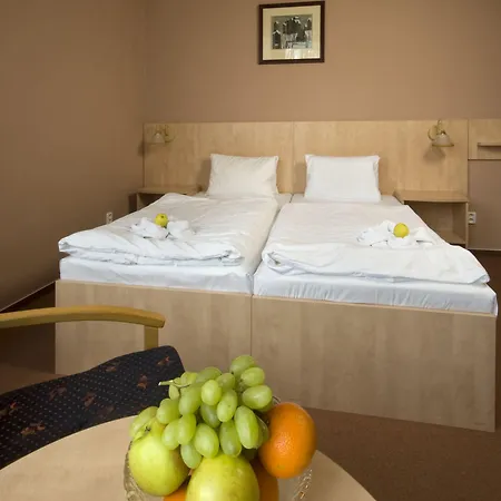 Metropol 3* Františkovy Lázně