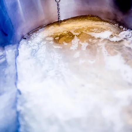 Metropol فندق 3*